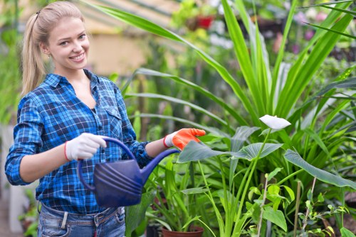 Workers and landscaping equipment representing ethical site operations