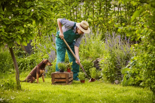 Southgate landscaping scene showing thoughtful planting and pathways