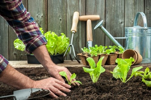 Customer raising a landscaping concern during project review
