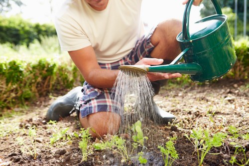 Professional landscaping service work in progress