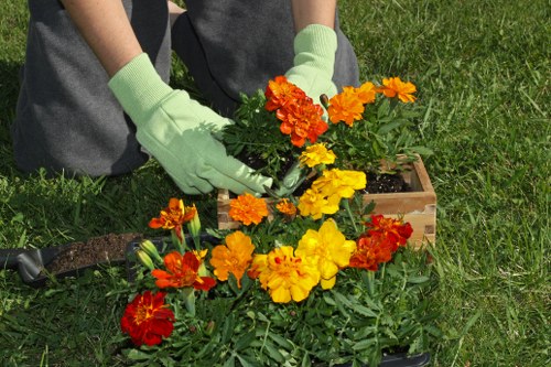 Low-maintenance garden makeover features for a Southgate home