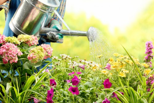 Border planting and lawn preparation for a Southgate residential property