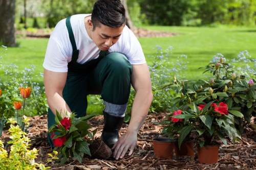 Team reviewing a complaint about landscaping work details