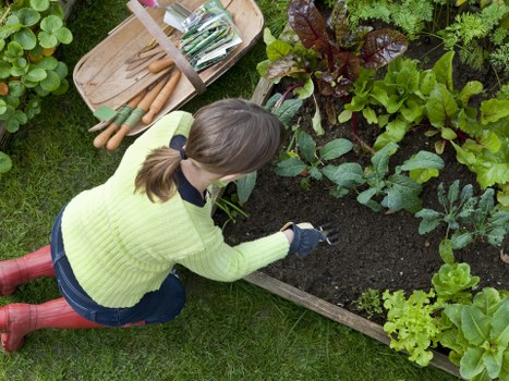 Safe bank transfer and card payment options for landscaping