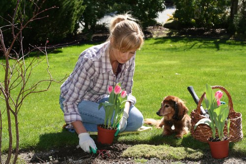 A well-planned garden layout suitable for Southgate homes with practical access